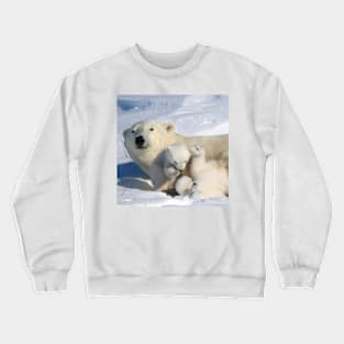 Polar bear cubs playing together Crewneck Sweatshirt